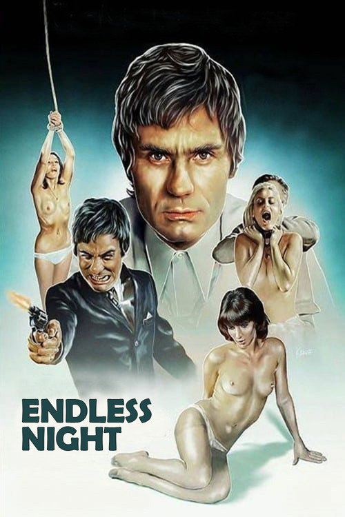 Póster de Endless Night