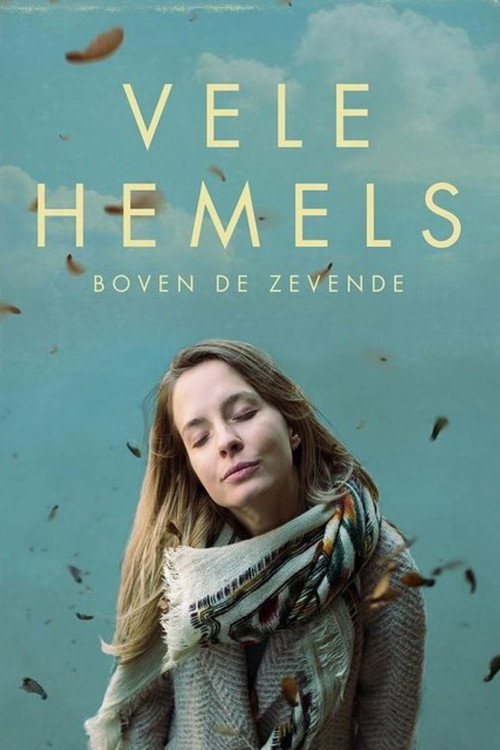 Póster de Many Heavens