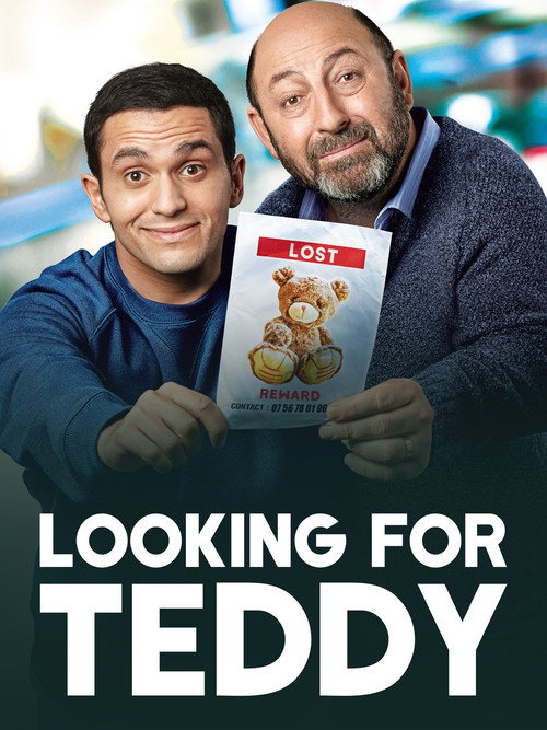 Póster de Looking for Teddy