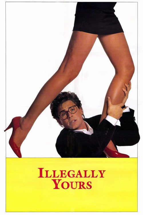Póster de Illegally Yours