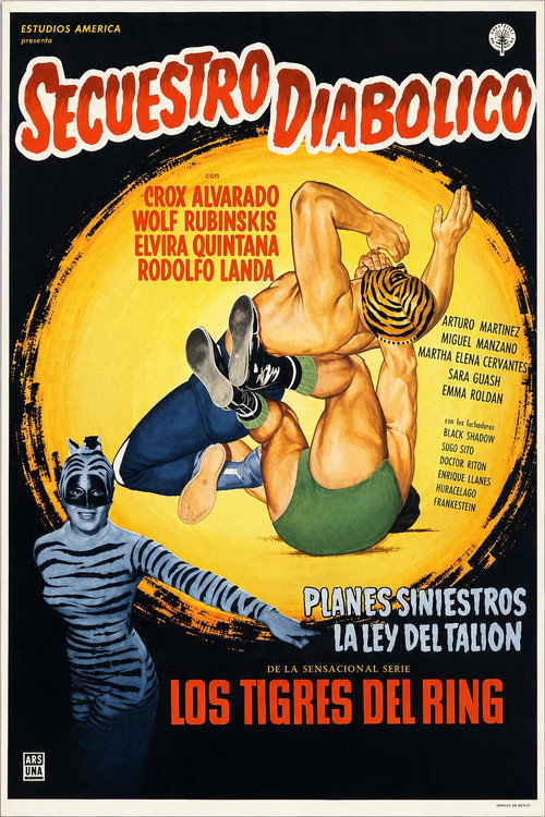 Póster de Los tigres del ring