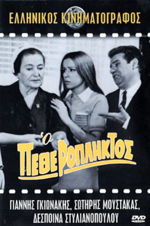 Póster de The Father-in-Law