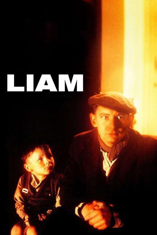 Poster von Liam