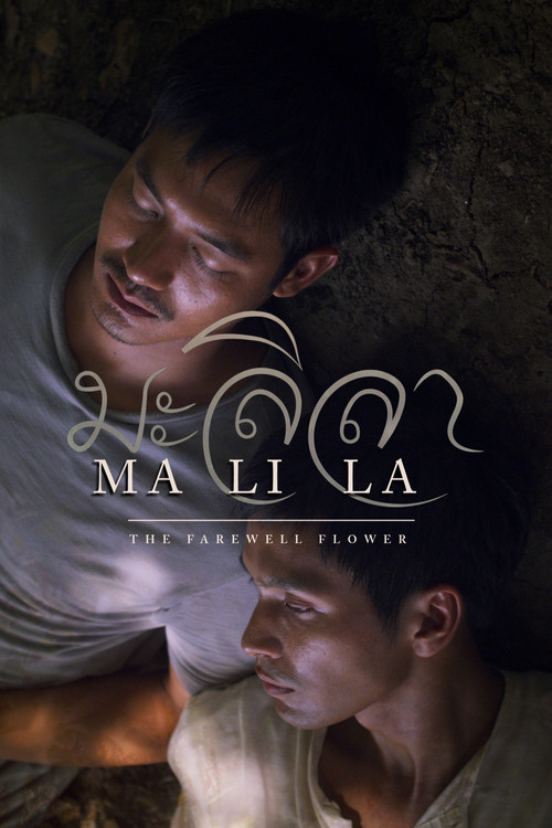 Póster de Malila: The Farewell Flower