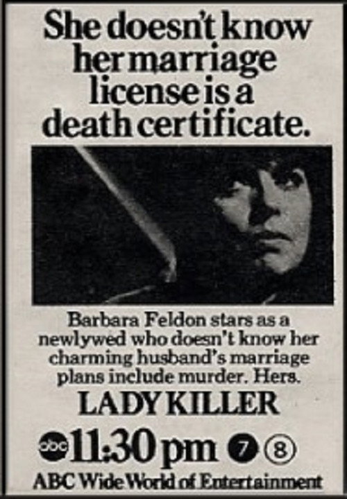 Póster de Lady Killer