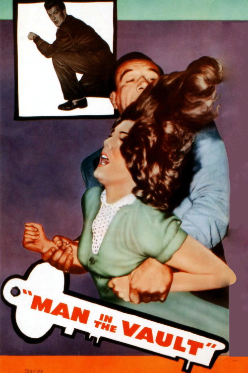 Póster de Man in the Vault