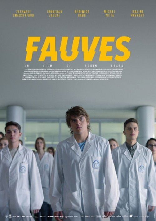 Póster de Wildcats