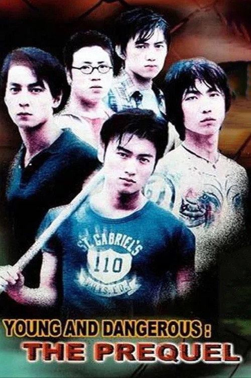 Póster de Young and Dangerous: The Prequel