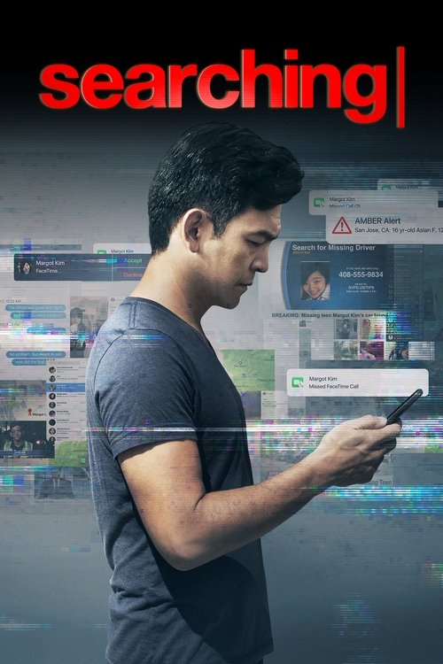 Póster de Searching