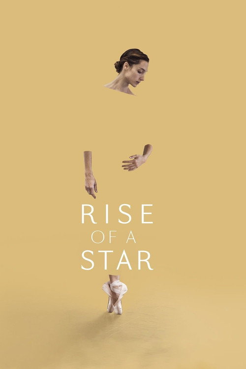 Póster de Rise of a Star