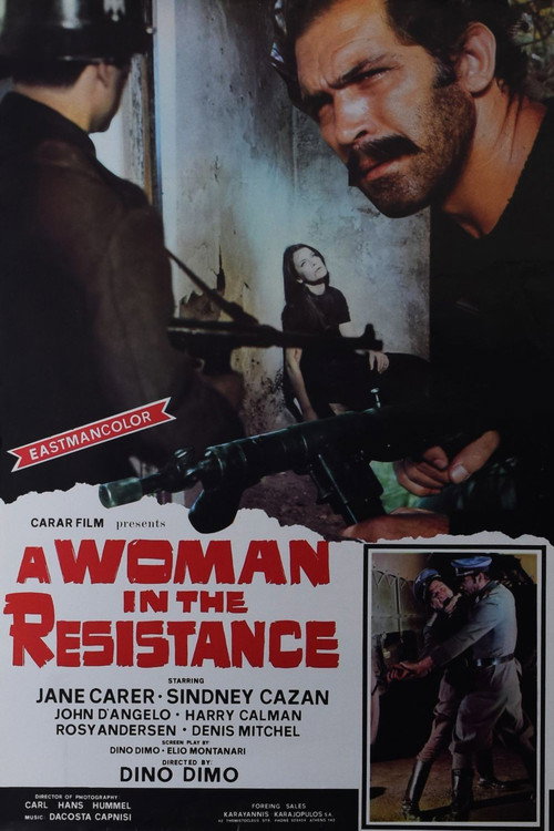 Póster de A Woman in the Resistance