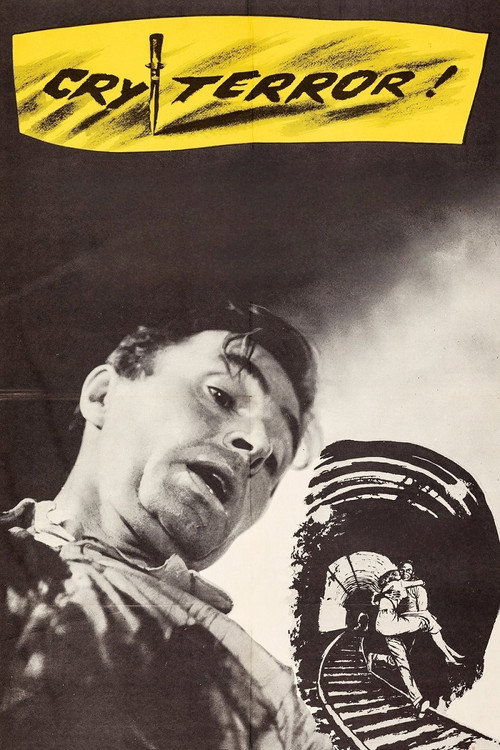 Póster de Cry Terror!