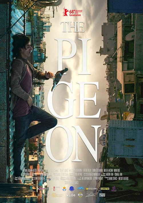 Locandina di The Pigeon