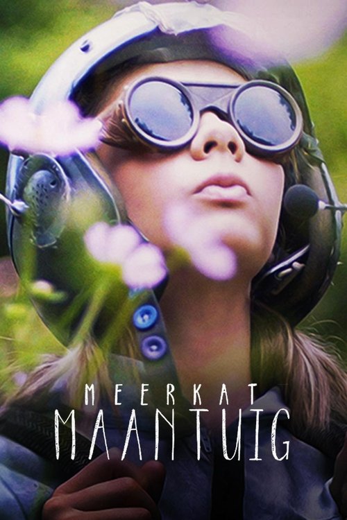 Póster de Meerkat Moonship