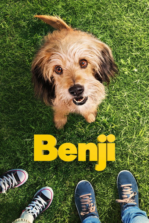 Póster de Benji