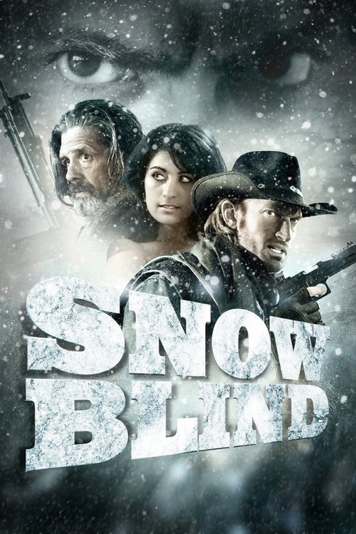 Póster de Snowblind