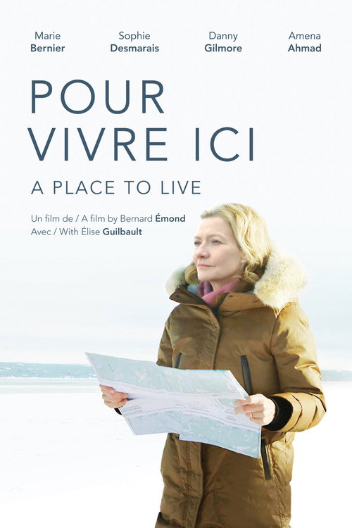 Póster de A Place to live