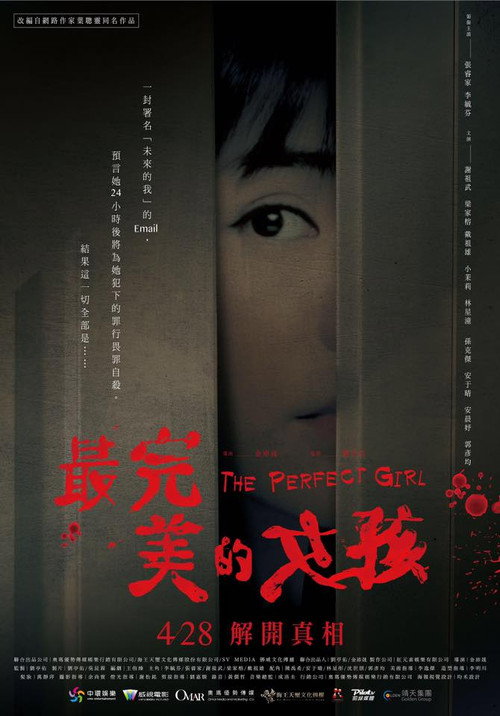Póster de The Perfect Girl