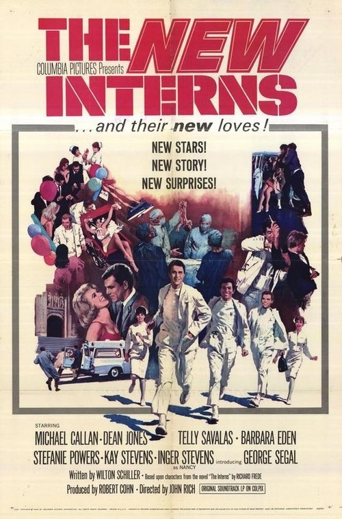 Póster de The New Interns