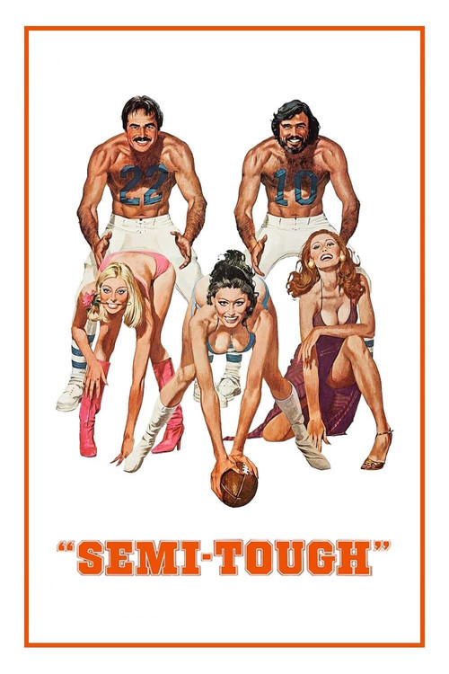Póster de Semi-Tough