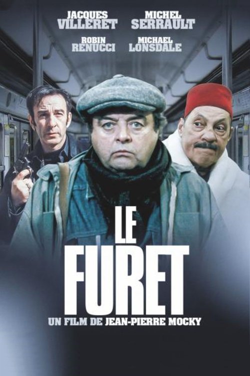 Locandina di Le Furet
