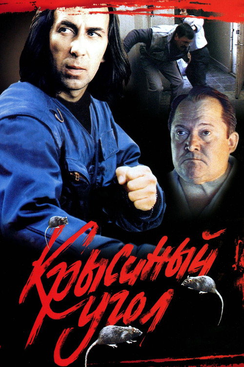Póster de Rats Corner