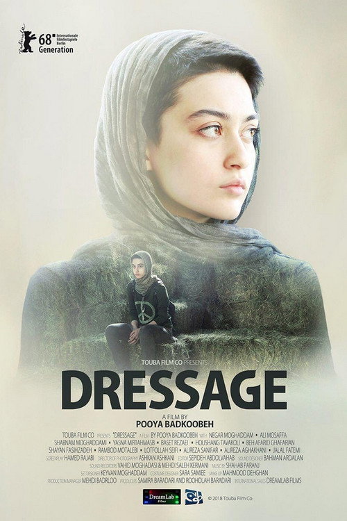 Póster de Dressage