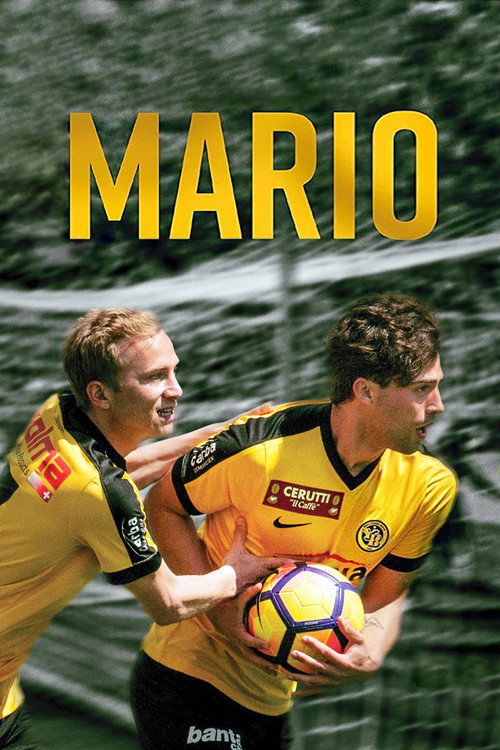 Póster de Mario