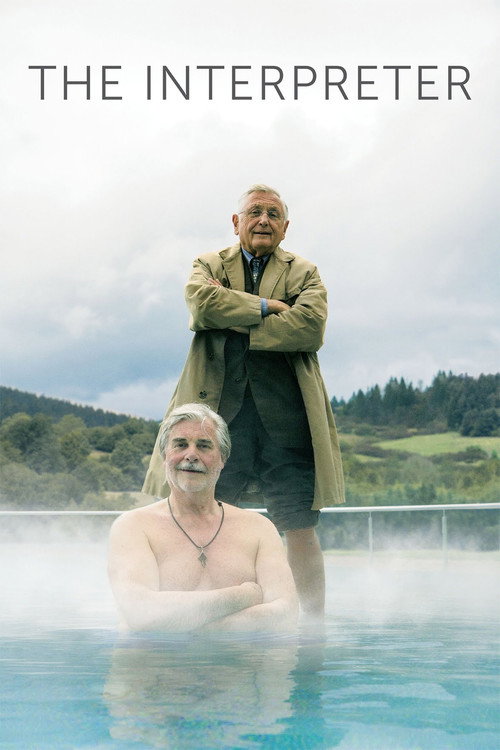 Póster de The Interpreter