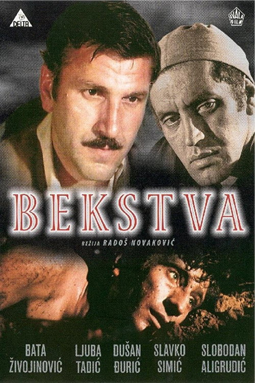 Póster de Escapes
