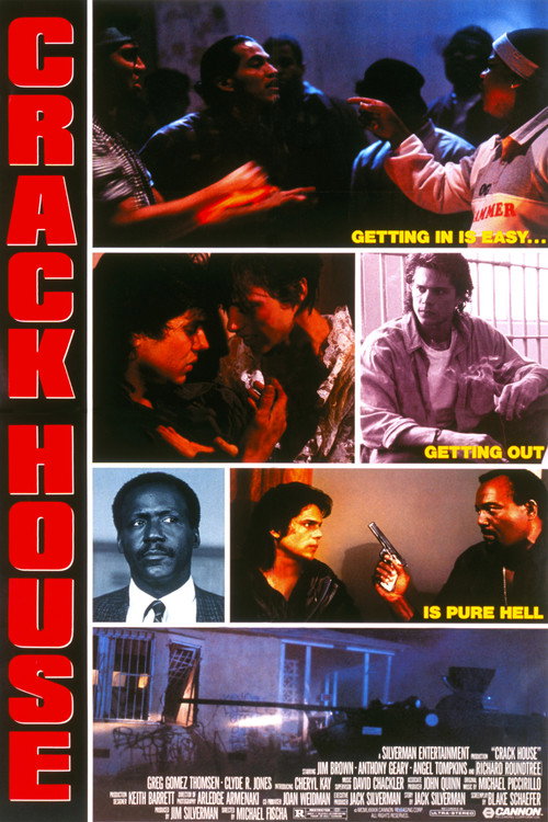 Póster de Crack House