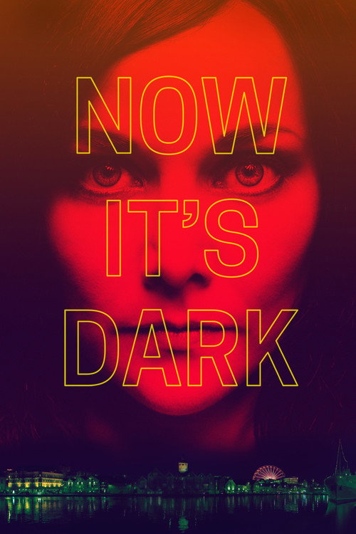 Póster de Now It's Dark