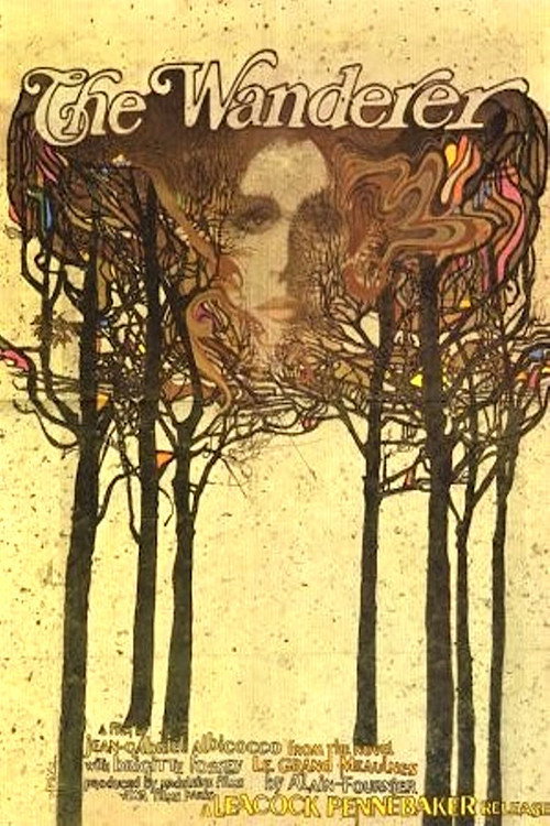 Póster de The Wanderer