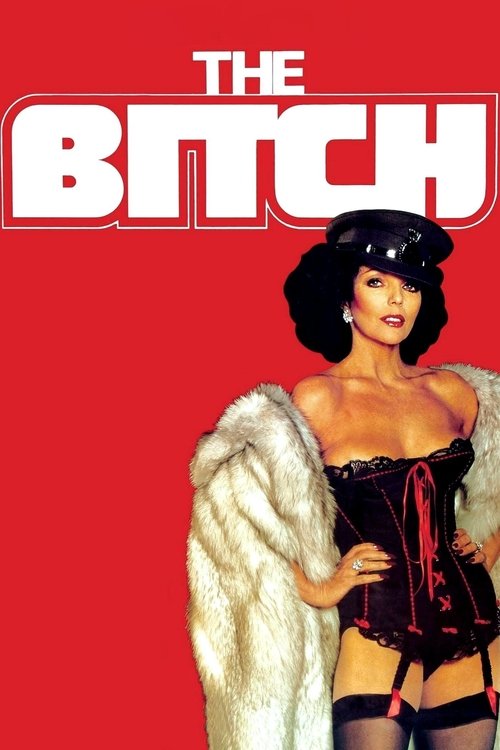 Póster de The Bitch