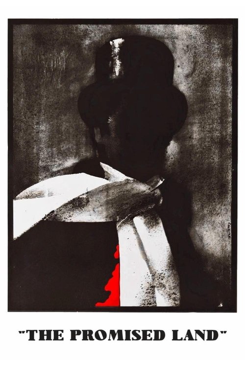 Póster de The Promised Land