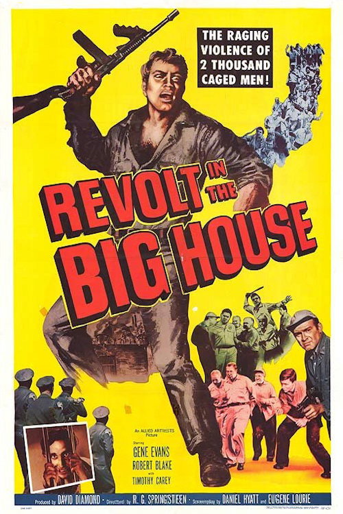 Póster de Revolt in the Big House