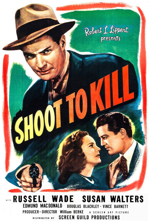 Póster de Shoot to Kill