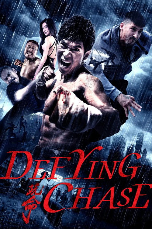 Póster de Defying Chase