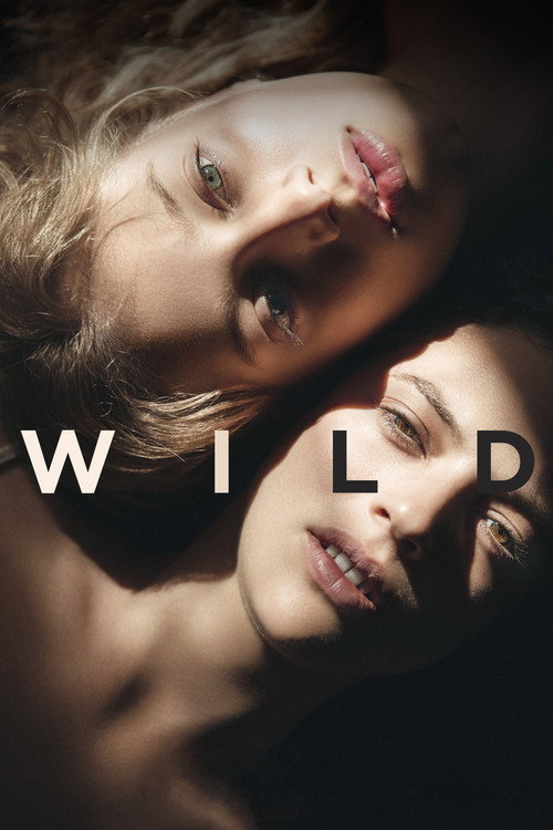 Póster de Wild