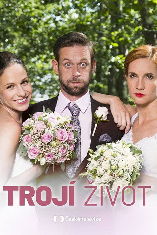 Póster de Double Trouble