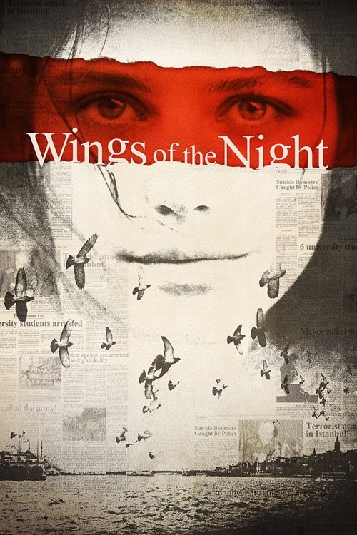 Póster de Wings of the Night
