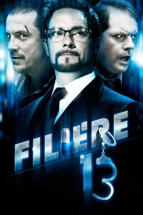 Póster de File 13