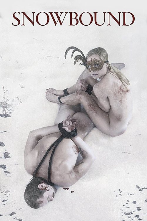 Póster de Snowbound