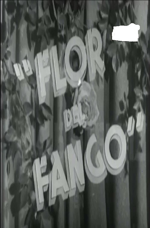 Pôster de Flor de fango