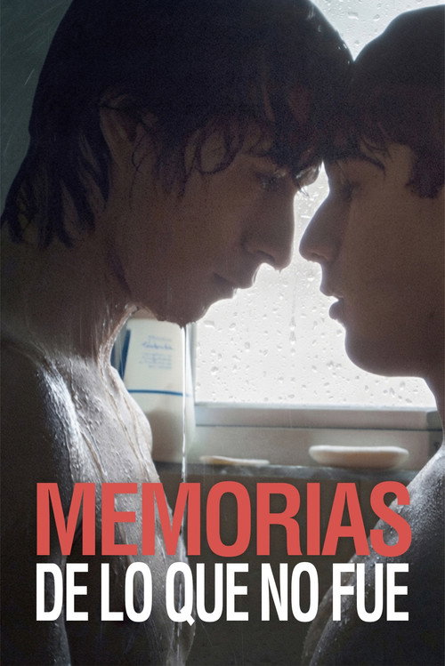 Póster de Memorias de lo que no fue