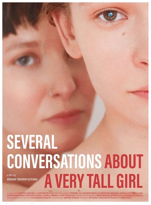 Póster de Several Conversations About a Very Tall Girl