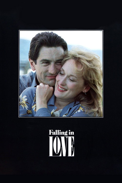 Póster de Falling in Love