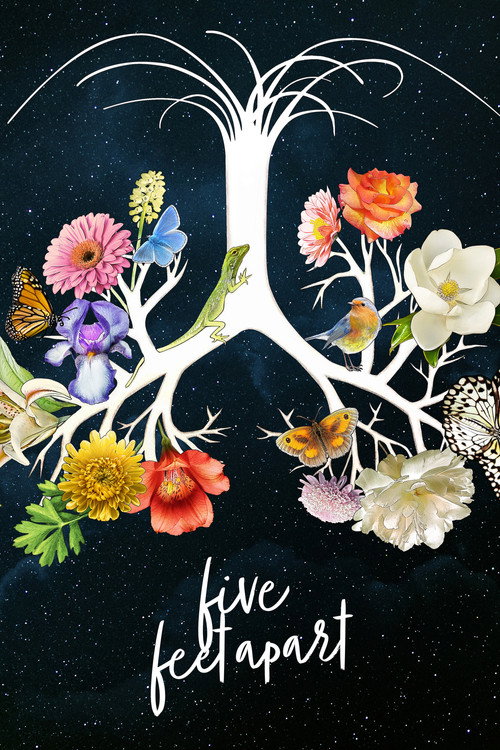 Póster de Five Feet Apart