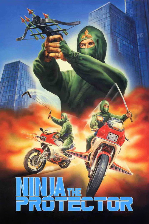 Póster de Ninja the Protector