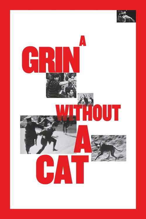 Póster de A Grin Without a Cat